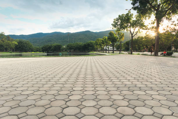 Best Decorative Driveway Pavers  in Hypoluxo, FL